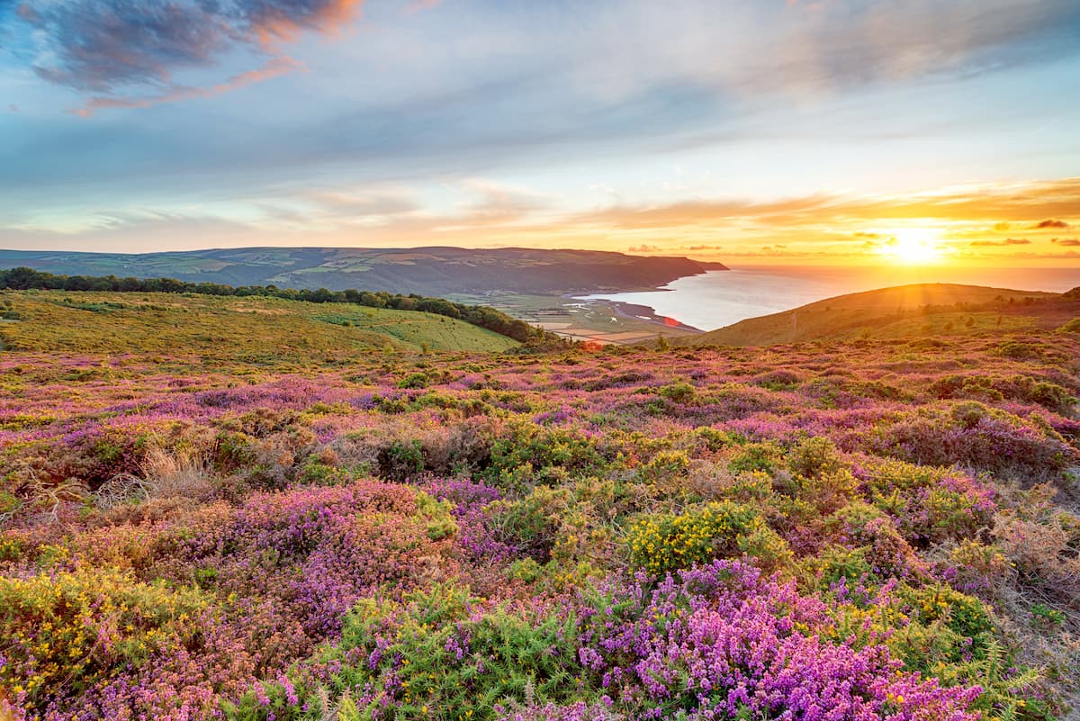 Bossington Hill. Exmoor National Park